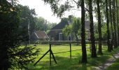 Randonnée A pied Rheden - Dwars door Gelderland (16) - Photo 2