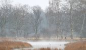 Excursión A pie Henstedt-Ulzburg - Rundweg um Alsterniederung und Schlappenmoor - Photo 2