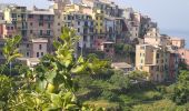 Tour Wandern Vernazza - Corniglia-Monterosso-10kmD570m - Photo 3