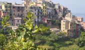 Trail Walking Vernazza - Corniglia-Monterosso-10kmD570m - Photo 3