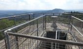 Trail On foot Gehlweiler - Traumschleife Heimat - Photo 2