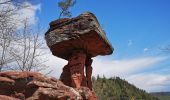 Tour Zu Fuß Hauenstein - Hauensteiner Nr. 21 - Photo 10