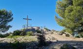 Trail Walking Toulon - Le faron..solo - Photo 5