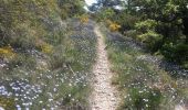 Trail Walking Saillans - De Chabrier (Saillans) à Barry (Vercheny) - Photo 8