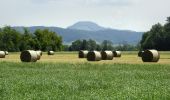 Tocht Te voet Morschen - Niederellenbach Rundweg N3 - Photo 4