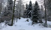 Randonnée Marche Ventron - Ventron col du colet  - Photo 4