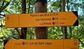 Tour Wandern Montclar - lac de St leger - Photo 8