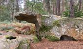 Tocht Noords wandelen Samois-sur-Seine - Samois nord rocher cassepot  tour denecour  - Photo 2