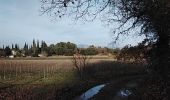 Randonnée Marche Pernes-les-Fontaines - pernes 84  les terres mortes  - Photo 3