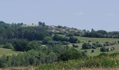 Tocht Stappen Houffalize - rando wibrin 5-06-2023 - Photo 1