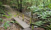 Tour Wandern Chaudfontaine - Chaudfontaine  - Bois les Dames - Photo 11