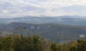 Trail Walking Ourches - La Draye Ourches Cobonne retour - Photo 3