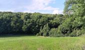 Randonnée Marche Esneux - parc du Mary. targnon . parc du Mary - Photo 14
