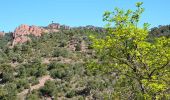 Tour Wandern Fréjus - Pk MF du Malpey - Piste des Malavalettes par Carrefour Roche Noire - Photo 6