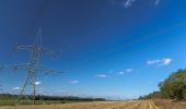 Tour Zu Fuß Gartz (Oder) - DE-Gebietswanderweg Stolzenburg-Geesow? - Photo 2