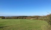 Trail Walking Durbuy - At the end vertel difficult - Photo 2