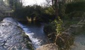 Trail Walking Saint-Jean-le-Vieux - forêt de Saint Jean - Photo 7