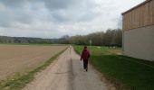 Trail Walking Beauvechain - Tourinne -Hamme-Mille - Photo 1