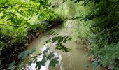 Tocht Stappen Chaumont-Gistoux - Sur les traces de la préhistoire  - Photo 15