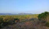 Trail Walking Roquebrune-sur-Argens - Lac des Requins - Photo 1