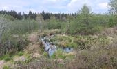 Trail Walking Waimes - petit tour en Brackvenn  - Photo 4