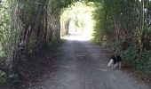 Trail Walking Baelen - Eupen Welky  - Photo 1