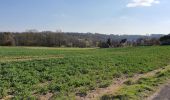 Tocht Stappen Modave - CHÂTEAU DE MODAVE - Photo 7