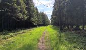 Percorso Marcia Spa - aérodrome. bois des vieilles fagnes . malchamps . retour le long de la fagne  - Photo 19