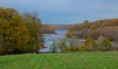 Trail On foot Froidchapelle - Balade au Lac de l'Eau d'Heure - Photo 1