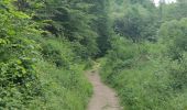 Trail Walking Altstrimmig - A la découverte du pont de Geierlay - Photo 5