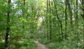 Tour Wandern Lüttich - Grivegnée Landes de Streupas - Photo 14