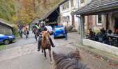 Trail Horseback riding Soucht - Speckbronn-Moulin de Ratzwiller- Speckbronn - Photo 2