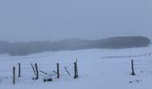 Tocht Stappen Besse-et-Saint-Anastaise - Les 3 lacs et la cascade  - Photo 14