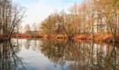 Tocht Te voet Kladruby nad Labem - [Č] Kladruby - Přelouč - Photo 7