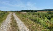 Tocht Stappen Saint-Hubert - Poix saint Hubert 21km - Photo 11