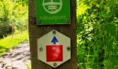 Trail Walking Tongeren - Promenade dans la réserve naturelle de Kevie - Photo 8
