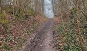 Tocht Stappen Viroflay - Les haras de Jardy et le mémorial Lafayette - Photo 2