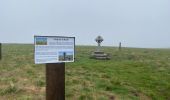 Trail Walking Saint-Chély-d'Aubrac - Étape 3 Saint Gilhem  - Photo 1