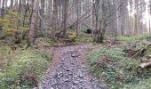 Randonnée Marche Houffalize - Engreux 021122 - Photo 5