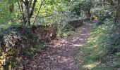 Trail Walking Ispoure - Arradoy - Photo 5