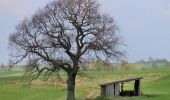 Randonnée A pied Mistelgau - Mistelgau Rundwanderweg 