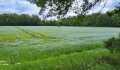 Tour Elektrofahrrad Saint-Clément - sortie vtt 16062024 vitrimont  - Photo 4