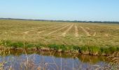 Excursión Bicicleta híbrida Rochefort - Rochefort -les marais-embouchure de la Charente  - Photo 13