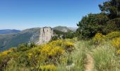 Randonnée Marche Castellane - Les cadières de Brandis - Photo 14