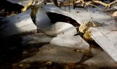 Percorso A piedi Liezen - Zur kleinen Schale-Runde - Photo 1