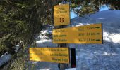 Randonnée Raquettes à neige Hauteluce - Les Saisies- Croix de Coste - Bizanne - 11.6km - 5h - Photo 3