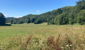 Trail Walking Ordonnaz - Ordonnaz  - Photo 5