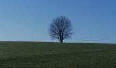 Tocht Stappen Ferrières - sy Barvaux  - Photo 8