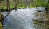 Trail On foot Dešenice - [Ž] Větrovec - Hamry - Photo 8