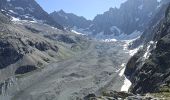 Tocht Stappen Saint-Christophe-en-Oisans - Cornes de Pié Bérarde  - Photo 4